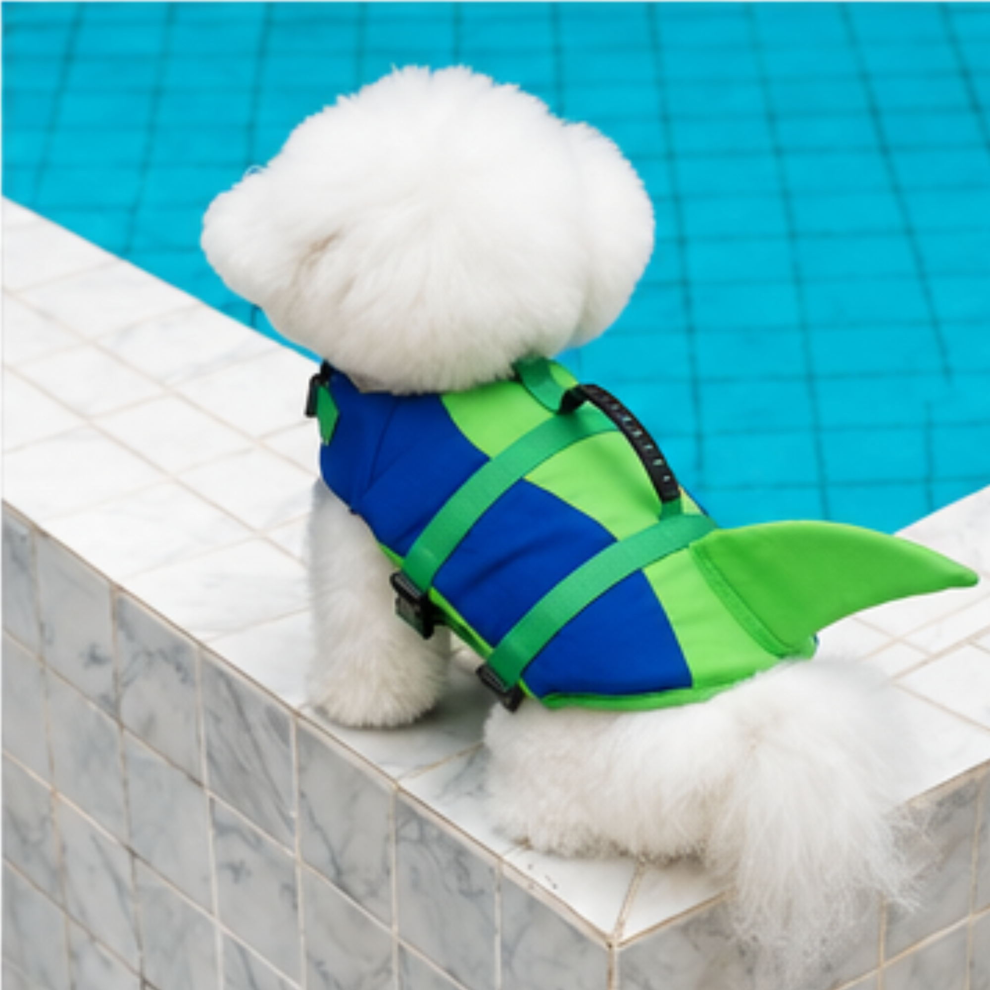FLOAT - FLOTADOR CANINO Selapaw